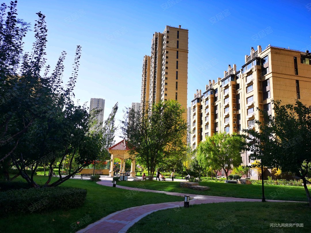 保师附小对面未来花郡北区海棠园48平精装一室朝南