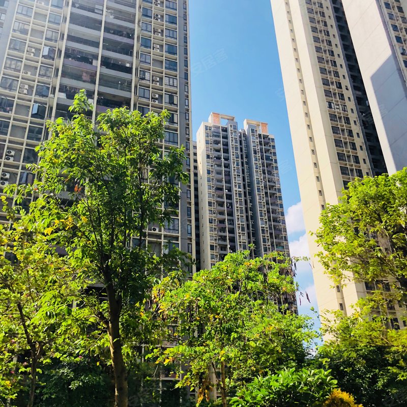 【凤凰春天花园, 凤凰春天花园小区专家解读页】- 清远58同城