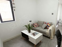 深圳布吉长龙长龙地铁站附近，精装修，拎包入住出租房源真实图片