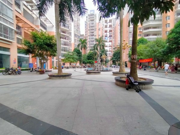 南宁西乡塘安吉棕榈湾棕榈湾精装修2房 租金便宜1500 配套齐全 拎包