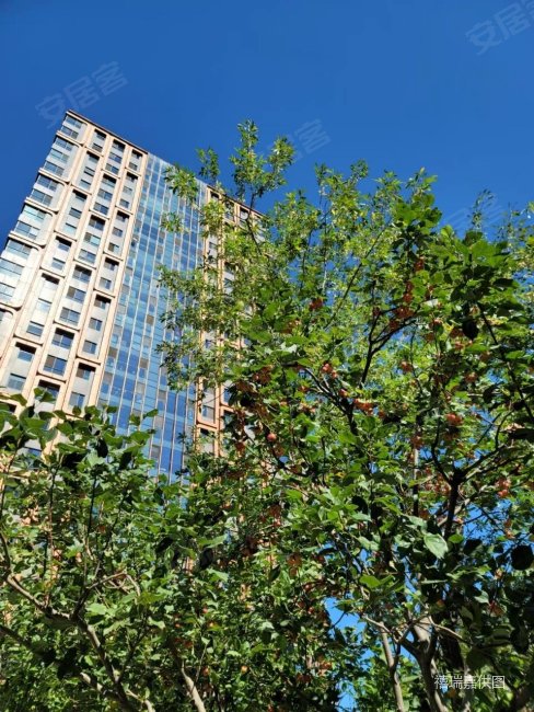 首创禧瑞都1室1厅1卫96.61㎡东1020万