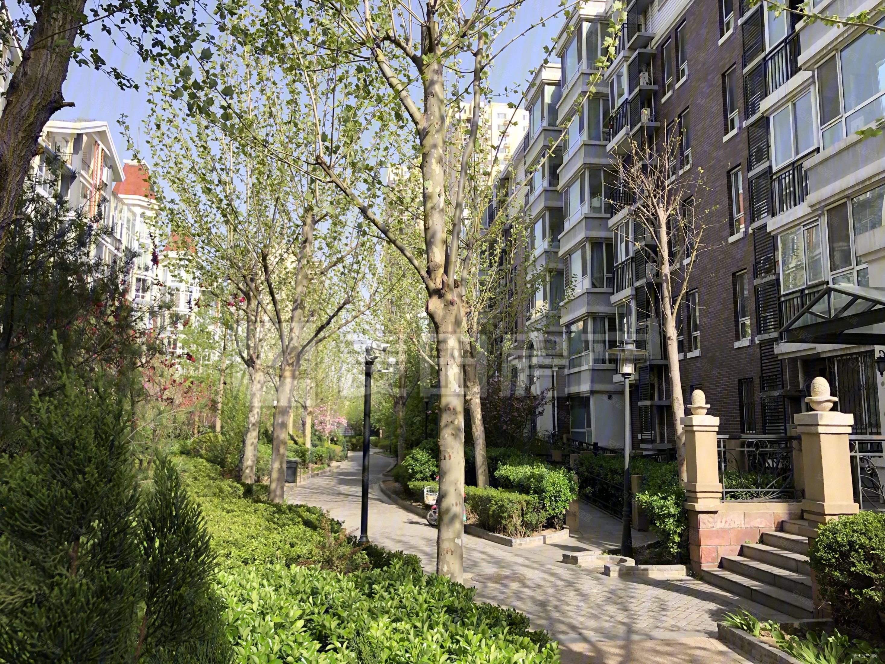 刚需必看正观小区私信我晶城秀府总价低高层