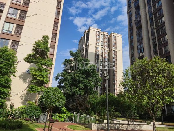 重庆渝北空港桥达蓝湾半岛精装三室两 卫拎包入住出租房源真实图片