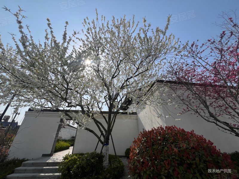 江南合院徽派建筑带装修业主诚心出售大院子