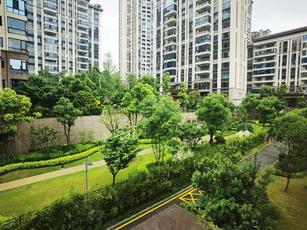 【多图】碧桂园印象花溪,花溪公园租房,出租,碧桂园印象的花溪大平层