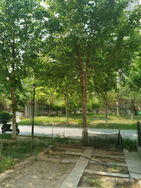 维多利亚上院2室2厅1卫84.39㎡南64万