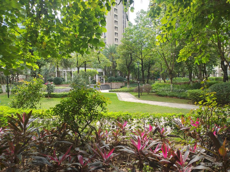 佛山房产网>佛山二手房>南海二手房>狮山二手房>依云曦城>800_600