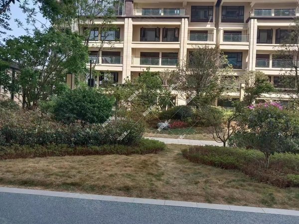 楚雄楚雄市东南新城万景彝海学府彝海大4房豪装仅1650元月带全套家具