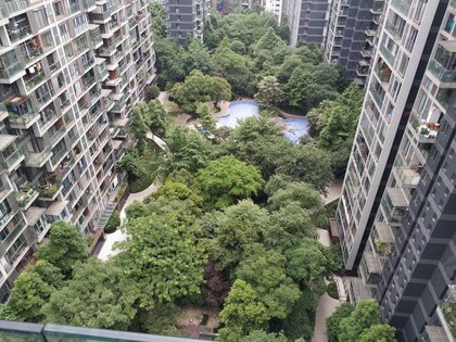 不足,优品道曦岸怎么样,优品道曦岸周边房产中介经纪人评价-成都安居