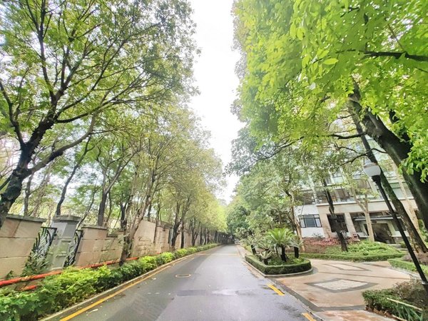 深圳龙华民治圣莫丽斯圣莫丽斯花园洋房复式5房3卫家私全齐出租出租