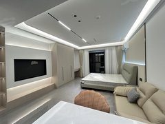 怀化鹤城城中无中介 拎包入住 市委附近 拎包入住 交通便利 环境优美出租房源真实图片