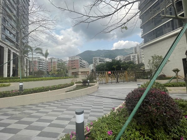 深圳罗湖莲塘东海富汇豪庭东海富汇豪庭 3室2厅1卫租 配套齐全 精装修