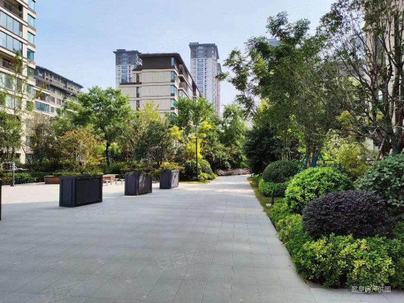 均价7xxx 新房源 青云府 3室2厅 电梯房 双气 随时看