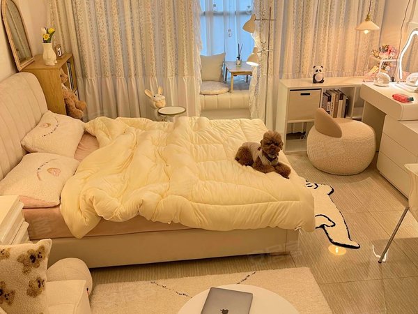 温馨的家 身在异乡的归属感 好房直租 0中介 随时看房出租房源真实