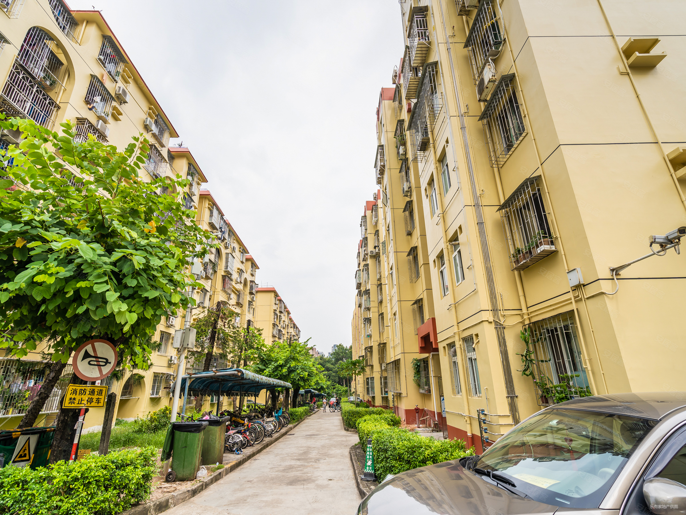 四海公园旁近指导价大三房靠近育才和花园城商圈