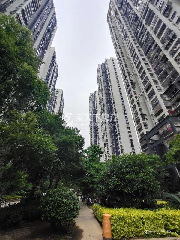 南向采光好 商圈成熟 临地铁 低容积 医疗配套成熟 出行方便,上海新苑