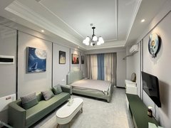 漯河源汇源汇城区西城区万达广场旁丰泽园精装一室公寓 家具家电齐全 可拎包入住出租房源真实图片
