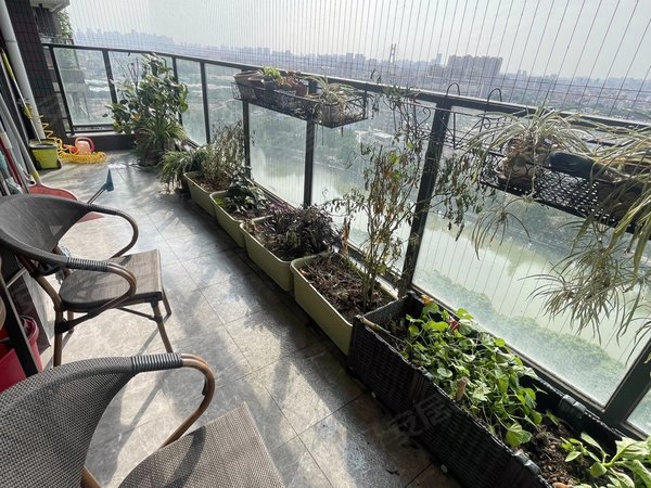 广州荔湾芳村保利花海湾保利花海湾 电梯精装大三房 环境优美景观好