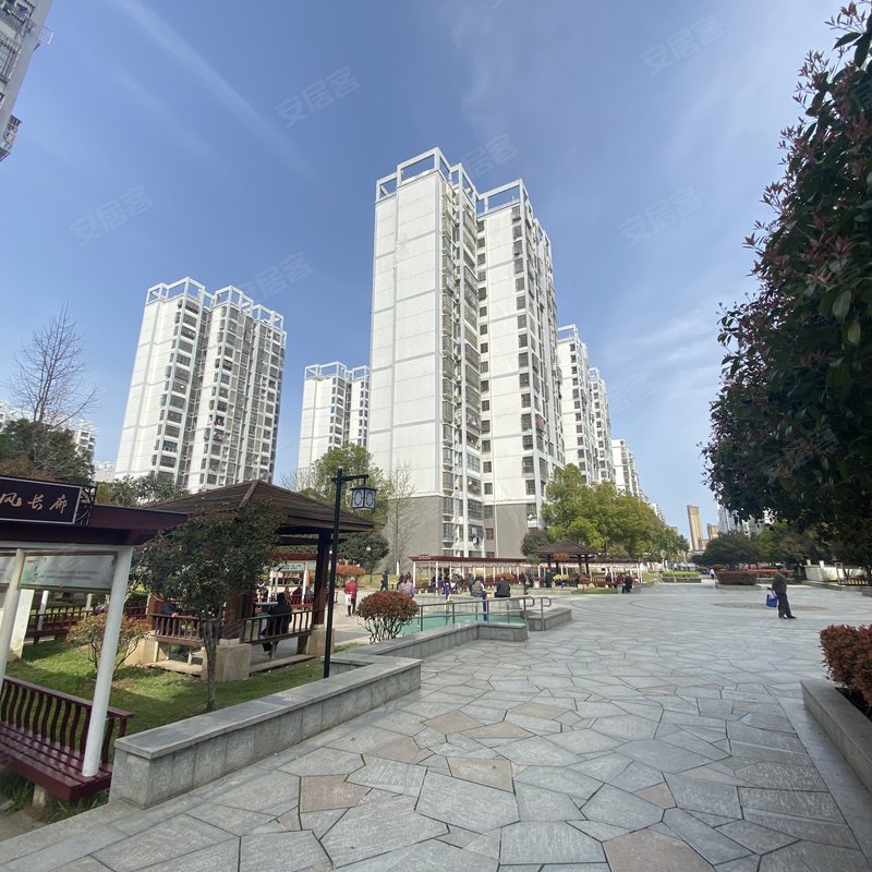 【滨湖康园南区, 滨湖康园南区小区详情,房价走势,房源,业主论坛】