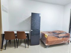 惠州惠城麦地西龙丰玖悦府 标准一房一厅 1.8米大床 通燃气 拎包入住出租房源真实图片