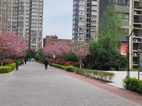 西安经开区北苑交通北苑北苑运动公园商圈,单间独卫.出租房源真实图片