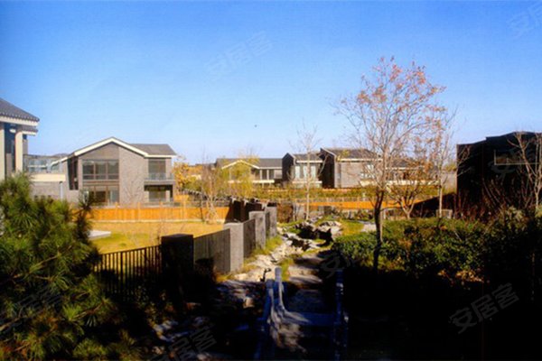 香山清琴