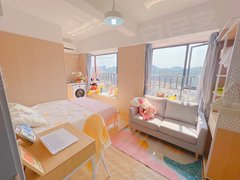 深圳龙华龙华中心区深圳北（可过渡）近地铁口押一民水民电直营公寓家电齐全出租房源真实图片