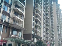 肇庆大旺高新区大旺碧桂园明珠花园 3室2厅1卫出租房源真实图片