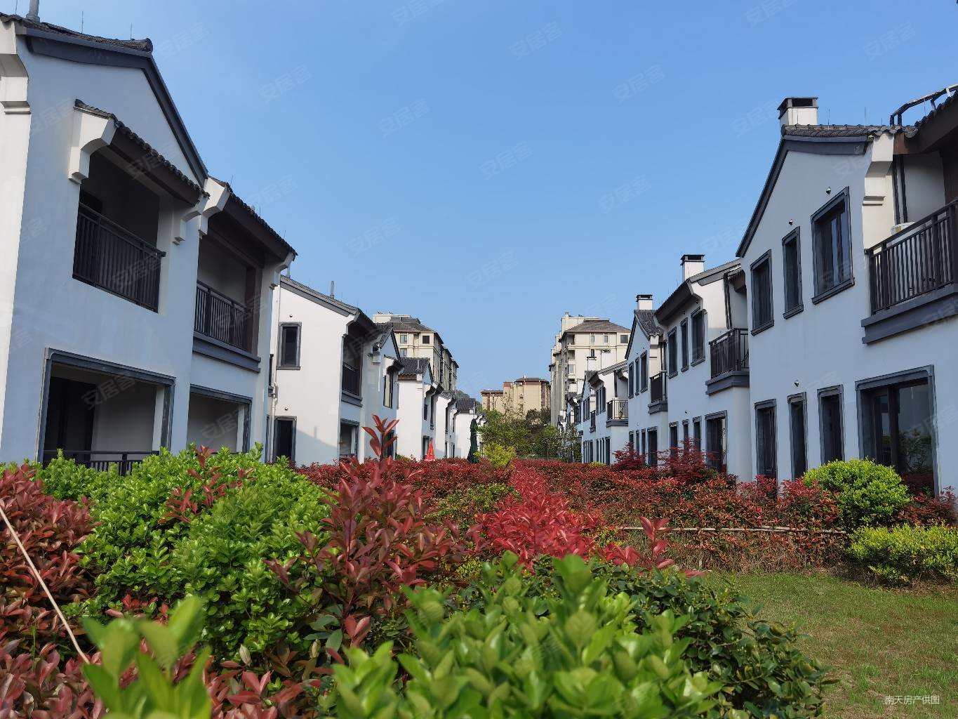 宁波房产网>宁波二手房>江北二手房>洪塘二手房>湖山一品花苑(别墅)>