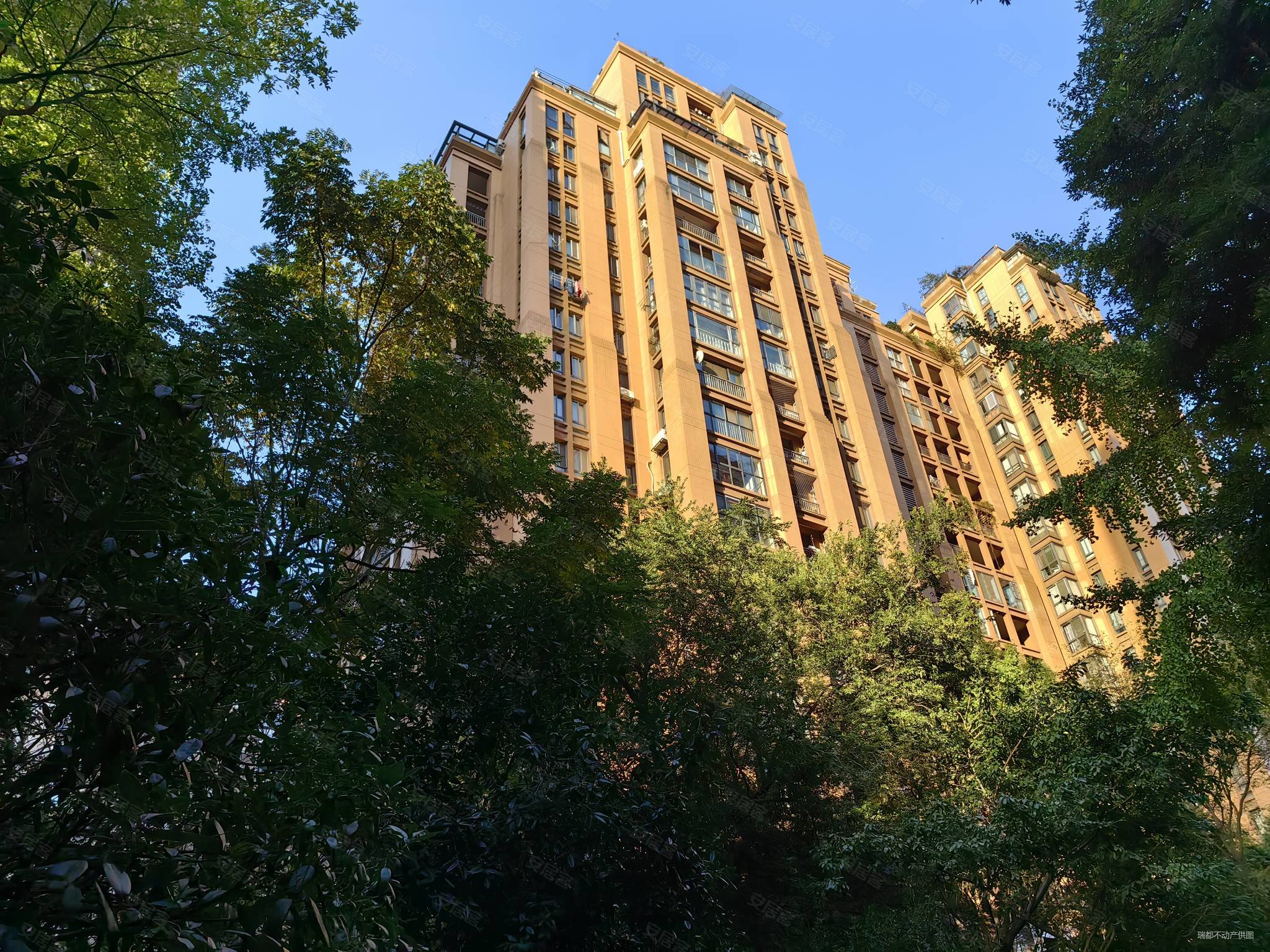 桐梓林欧城4室2厅2卫177.02㎡南北445万