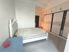 武汉黄陂汉口北汉北广场(商住楼) 1室1厅1卫  电梯房 精装修39平米出租房源真实图片