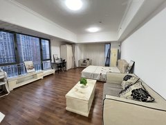 佛山南海金融高新区万达广场 双窗采光好  民用水电 可养宠物 商住两用 带网络出租房源真实图片