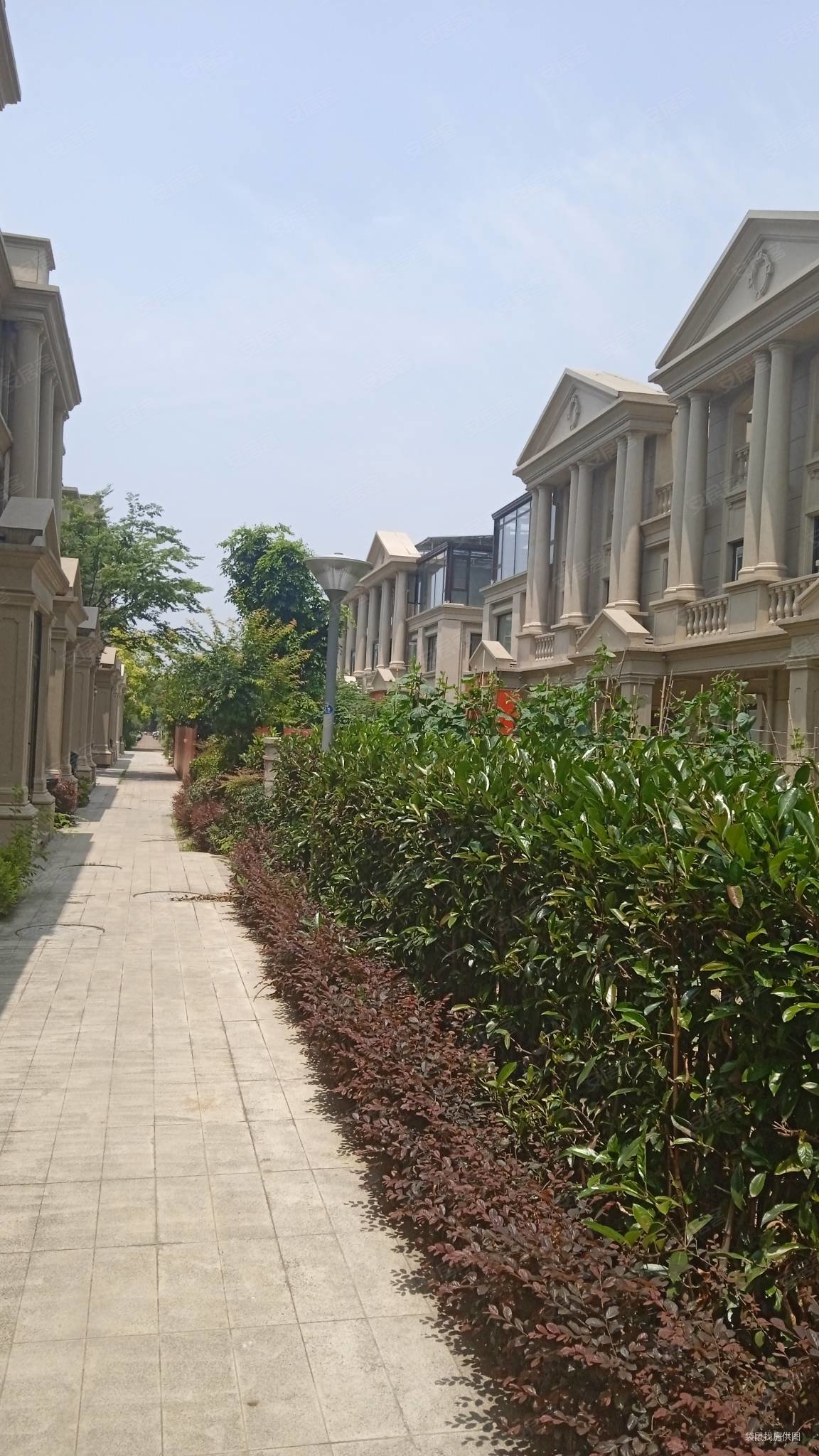 金新御园别墅超高性价比联排别墅高档别墅区环境好