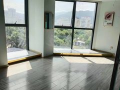 临沧临翔凤翔恒基广场公寓出租,以前是美容工作室,采购通透,商圈成熟。出租房源真实图片