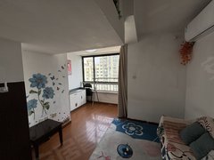 上海普陀长寿路近1314号武宁路地铁，酒店式公寓一室Loft，随时看房出租房源真实图片