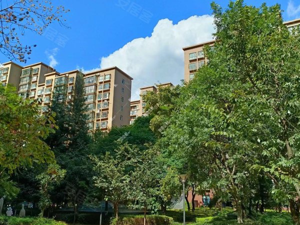 【多图】丽水雅苑,江东花园租房,羊肠村地铁口 精装3房 东南朝向 看房