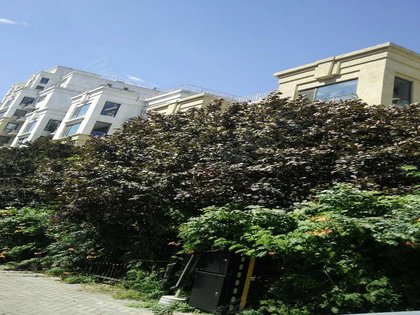 胜古誉园,胜古中路甲1号-北京胜古誉园二手房,租房-北京安居客