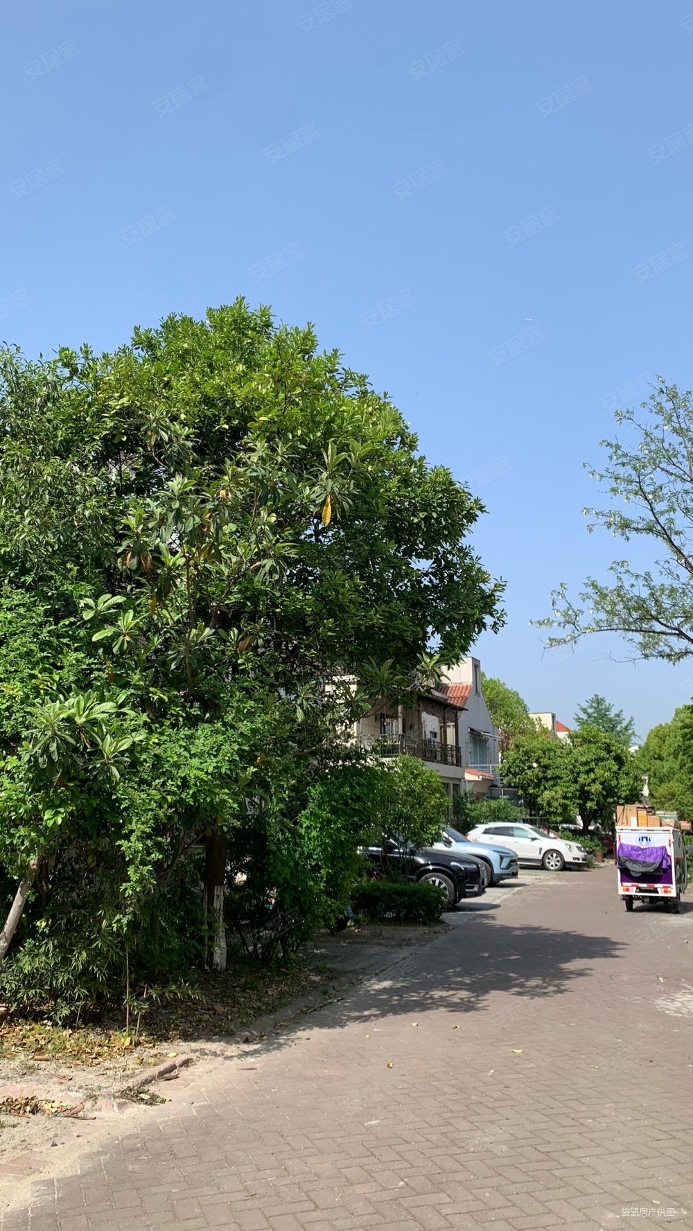 绿地21城c区别墅