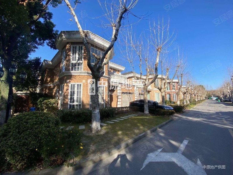 new康桥独栋别墅北进门南花园采光好满五