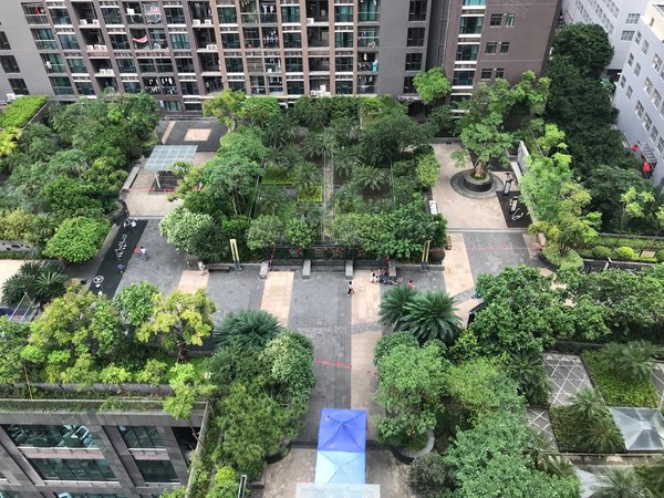 【多图】向南瑞峰花园,南山地铁口租房,向南瑞峰花园 正规一房一厅