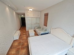 重庆巴南龙洲湾万达 一室一厅 通燃气 押一付一 没有中介費 当天看房可入住出租房源真实图片