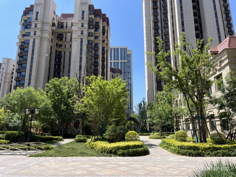 新都中小 恒大悦澜庭 新小区 精装修南向客厅 双卫