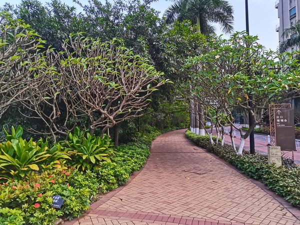 【多图】珊瑚天峰,星河湾租房,万科物业自营 天峰精装四房佶屋出租