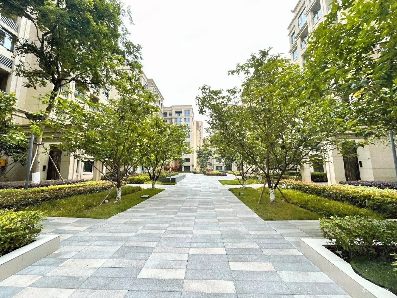 龙湖洋房 一梯三户 凤凰楼层 全朝中庭南北通透,龙湖康田麓宸二手房