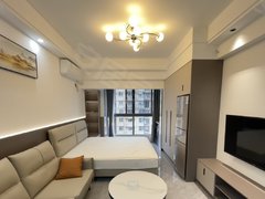 漯河召陵召陵城区押一付一君悦府，精装修一室，家具家电齐全，拎包入住。有钥匙出租房源真实图片