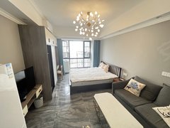 株洲荷塘红旗广场荷塘区职教城附近精装情侣公寓800月押一付一家电齐全可短租出租房源真实图片