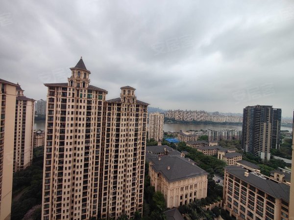 星河湾半岛一期 307平高层采光佳楼间距宽 业主买来没有住过,番禺租房