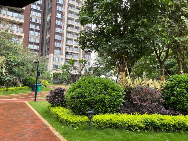 东莞石排石排城区艺境松山湖艺境松山湖 3室2厅2卫  精装修 101平