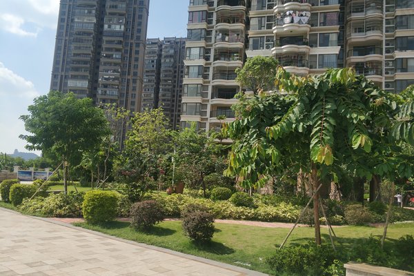 佛山二手房 合生君景湾 > 邱惠锋解读合生君景湾附近学校