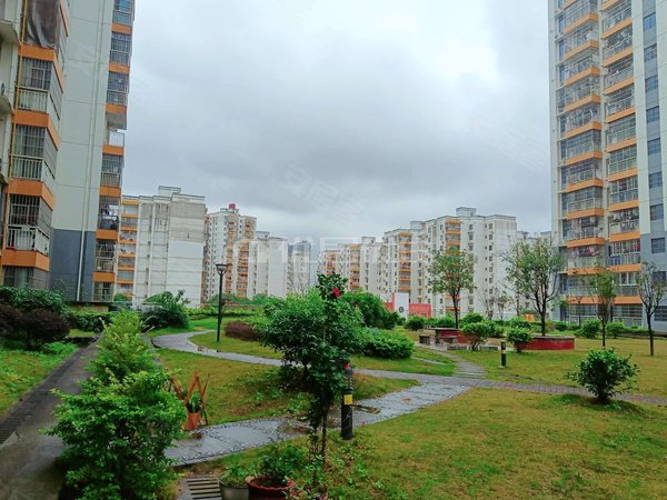 【多图】中房乐汇广场,白沙大道租房,中房碧翠园b区 1室1厅1卫 88平